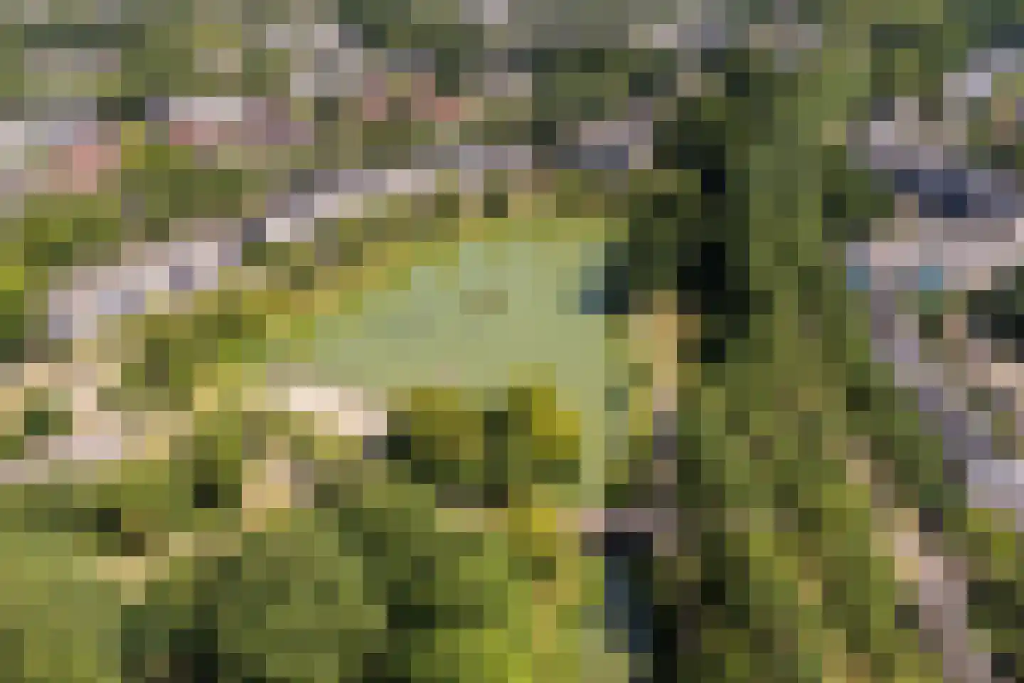 Ruitercamp 93 Houten thumbnail 44