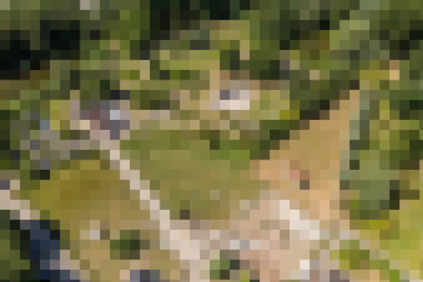 Ruitercamp 93 Houten thumbnail 45