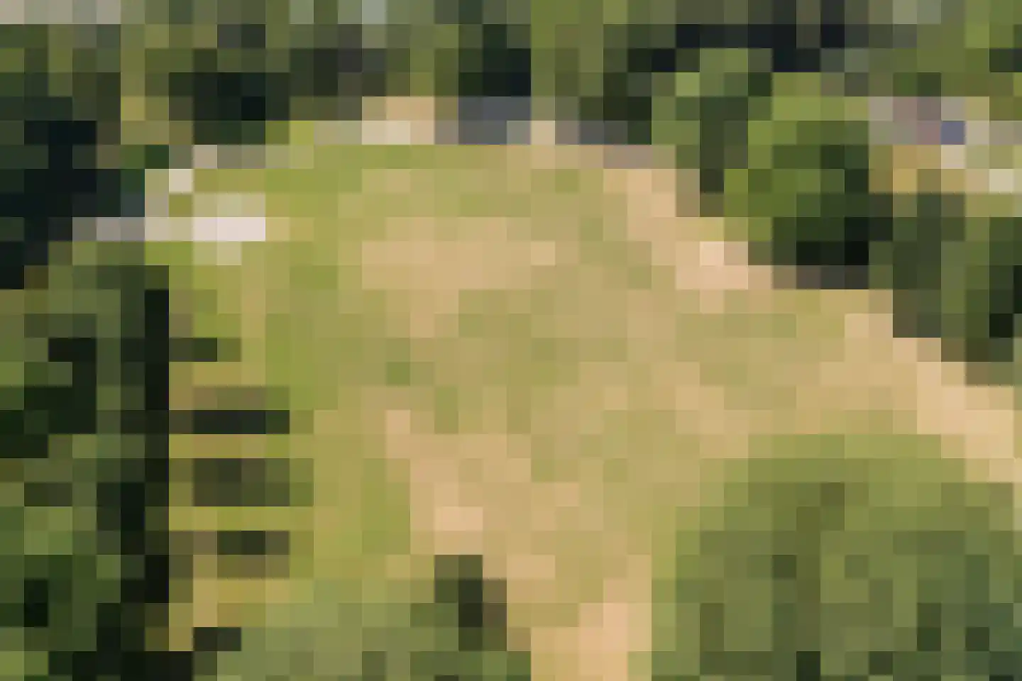 Ruitercamp 93 Houten thumbnail 46
