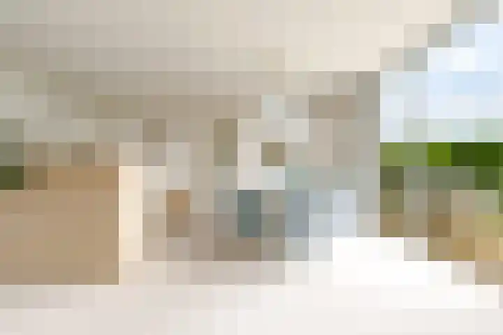 Ruitercamp 95 Houten thumbnail 13