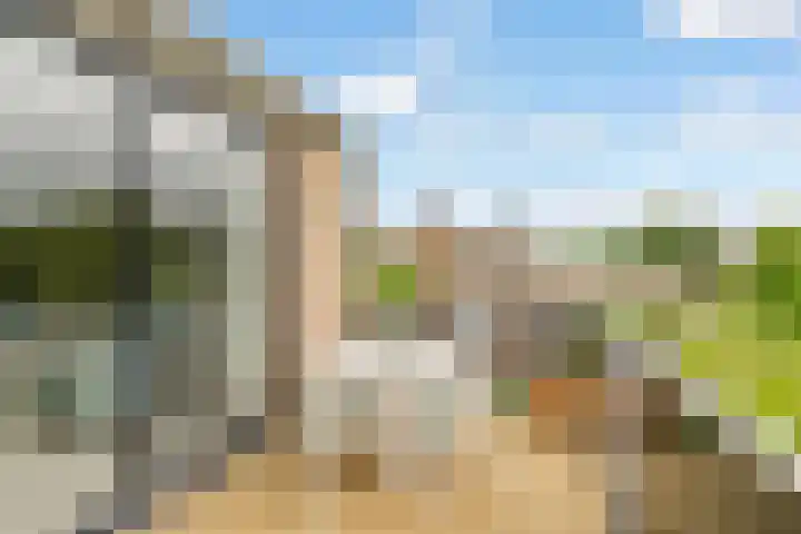 Ruitercamp 95 Houten thumbnail 35