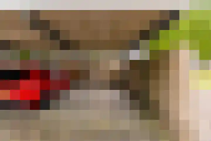Ruitercamp 95 Houten thumbnail 39