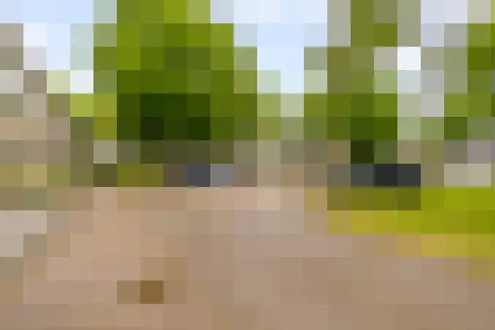 Ruitercamp 95 Houten thumbnail 41