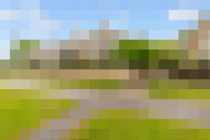 Ruitercamp 95 Houten thumbnail 47