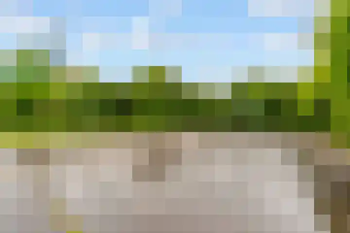 Ruitercamp 95 Houten thumbnail 49