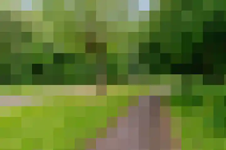 Ruitercamp 95 Houten thumbnail 50