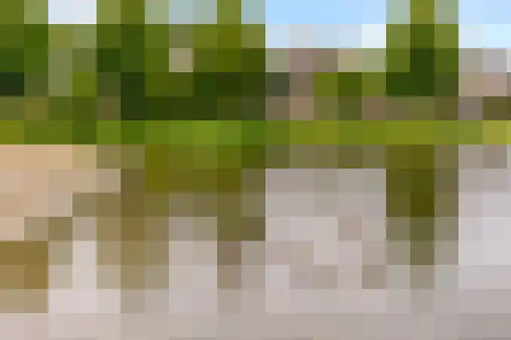 Ruitercamp 95 Houten thumbnail 52
