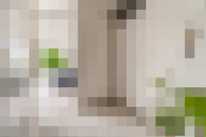 Ruitercamp 95 Houten thumbnail 8