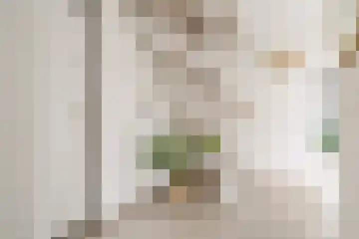 Ruitercamp 95 Houten thumbnail 9