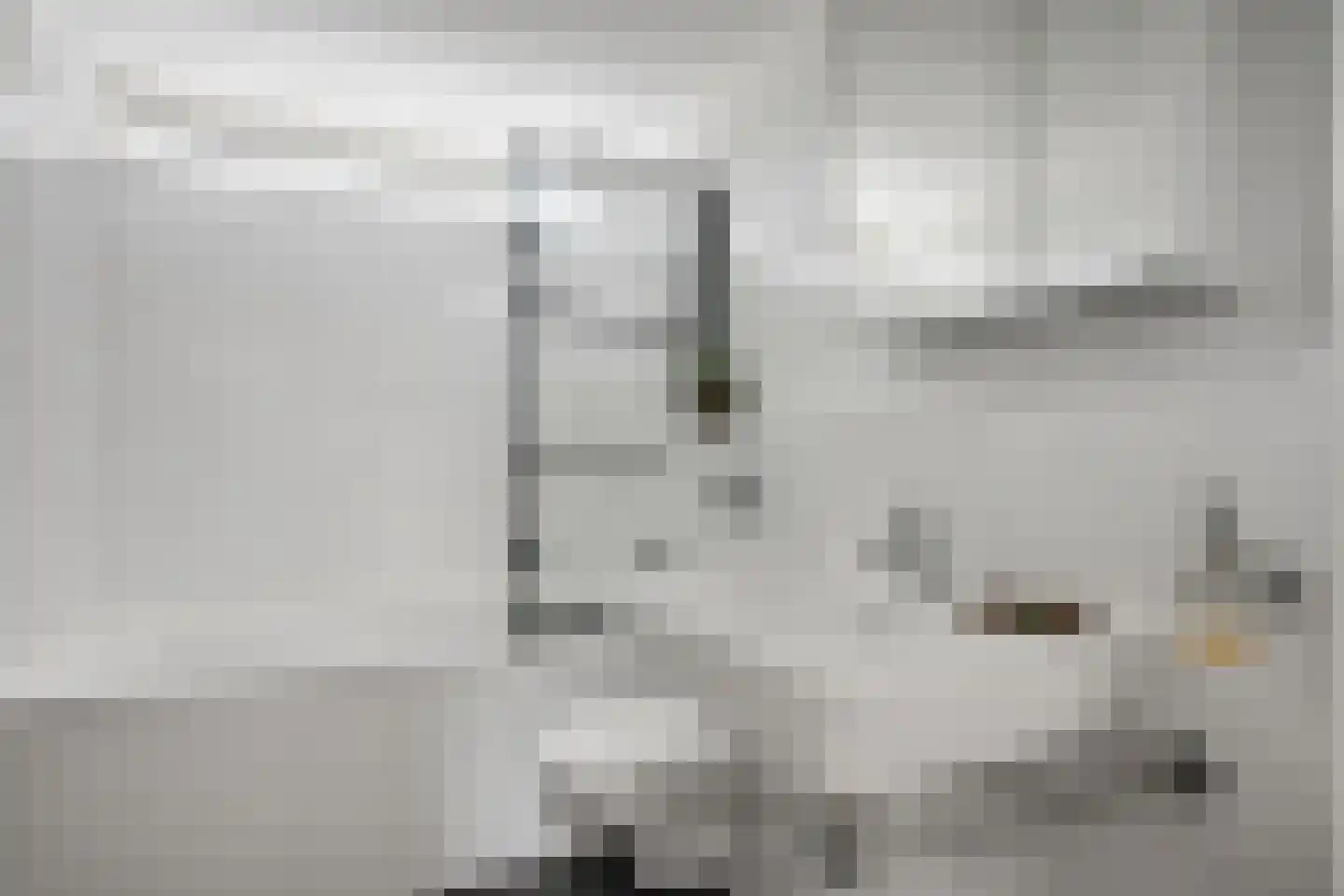 Ruiterhorst 22 Leusden thumbnail 15
