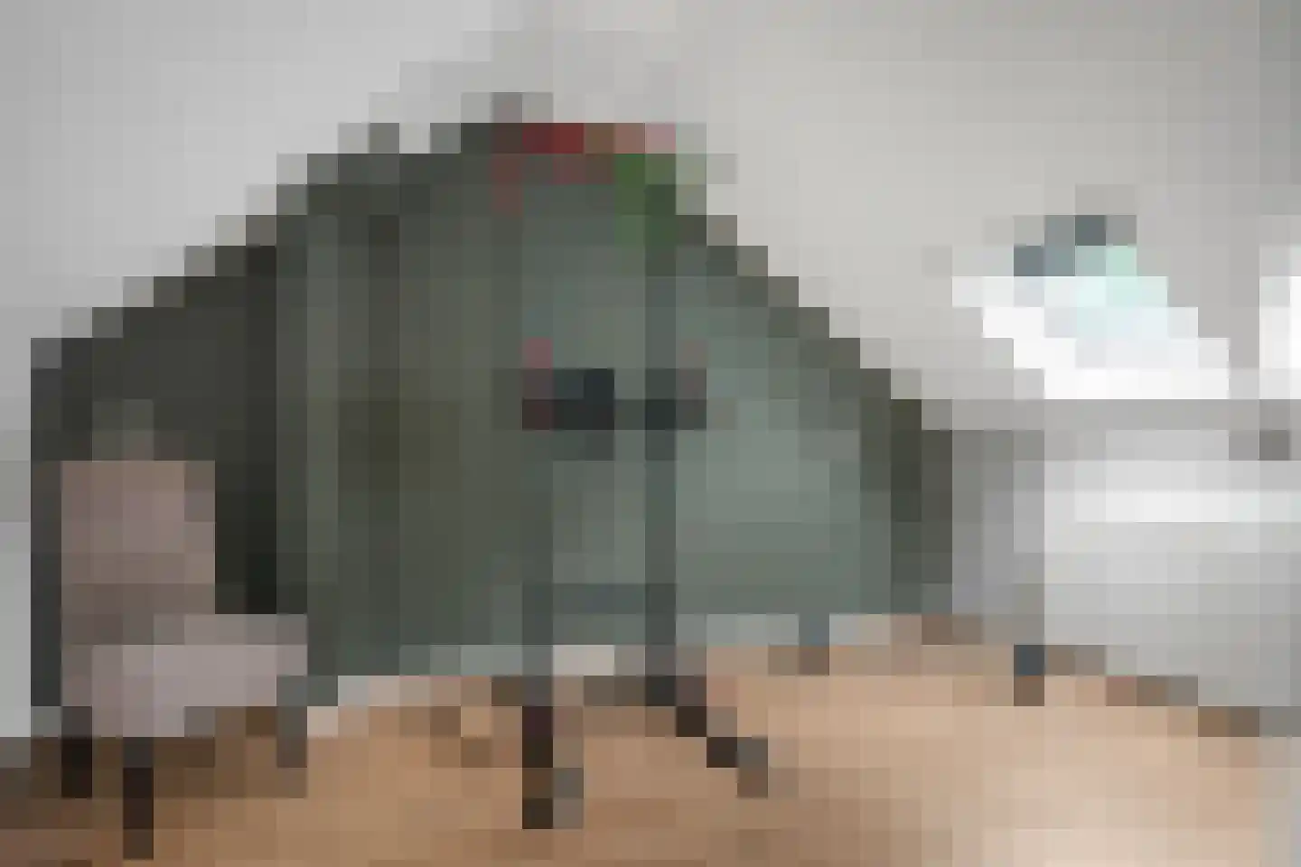 Ruiterhorst 22 Leusden thumbnail 24
