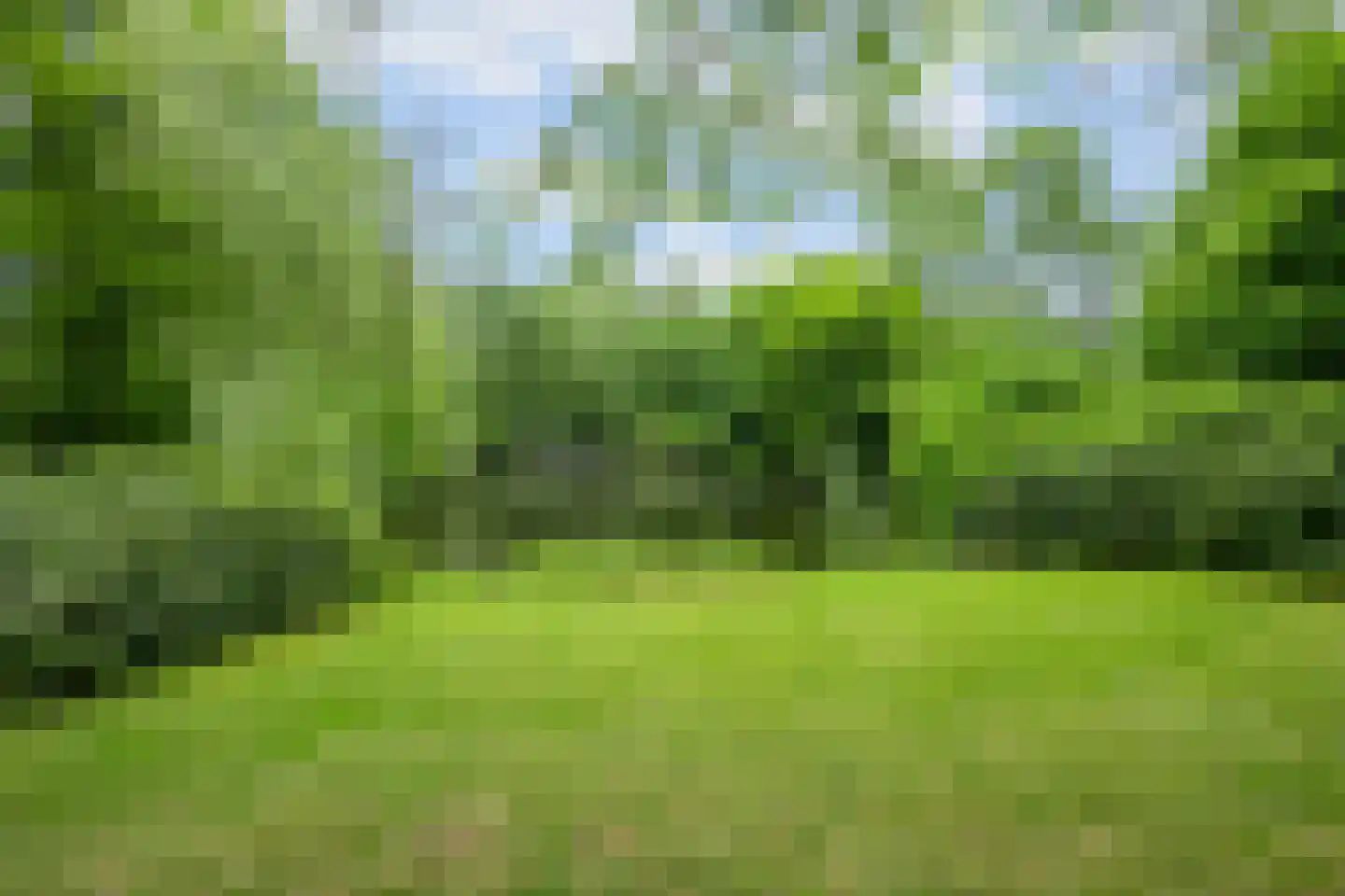 Ruiterhorst 22 Leusden thumbnail 31