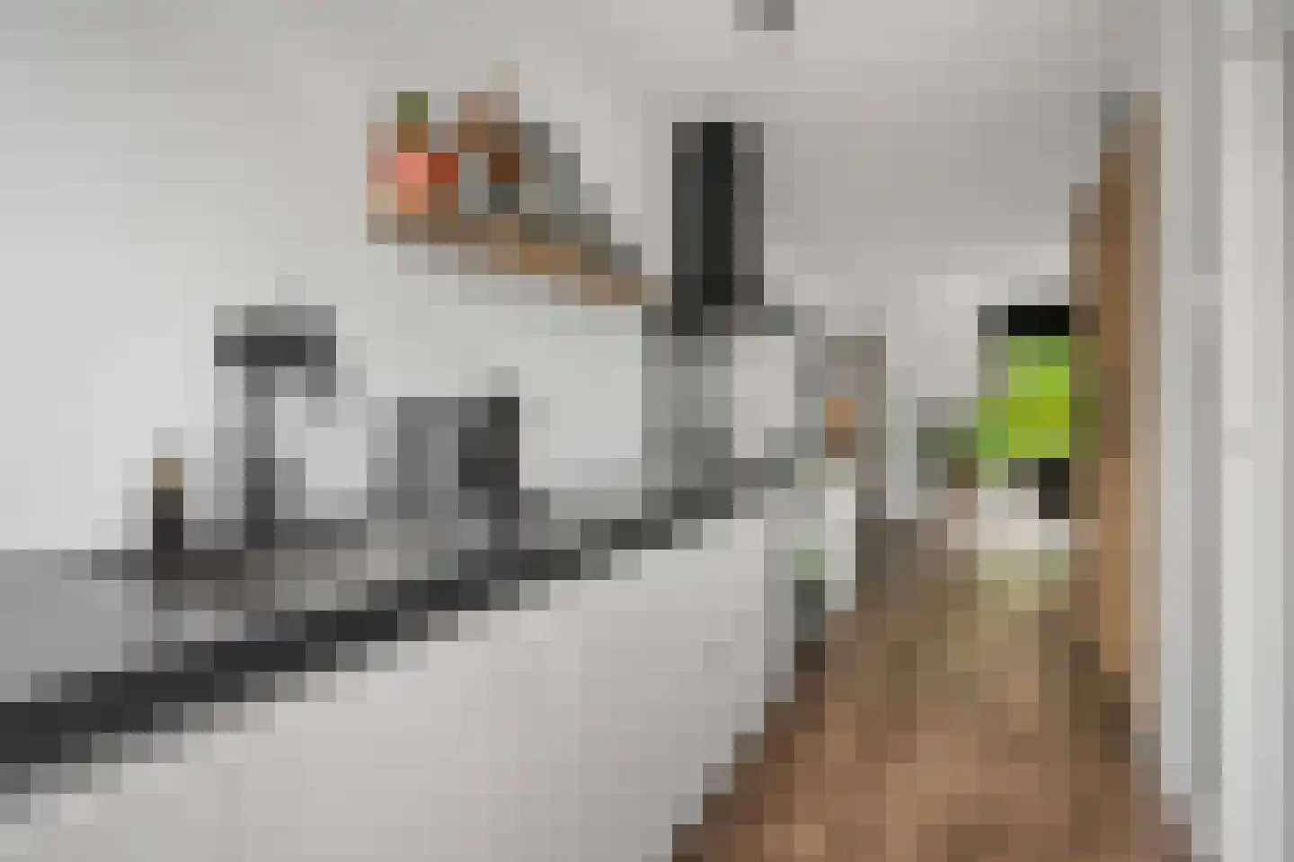 Ruiterhorst 22 Leusden thumbnail 7