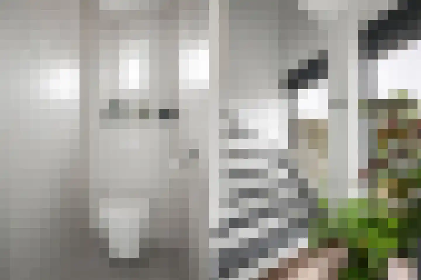 Ruiterhorst 22 Leusden thumbnail 8