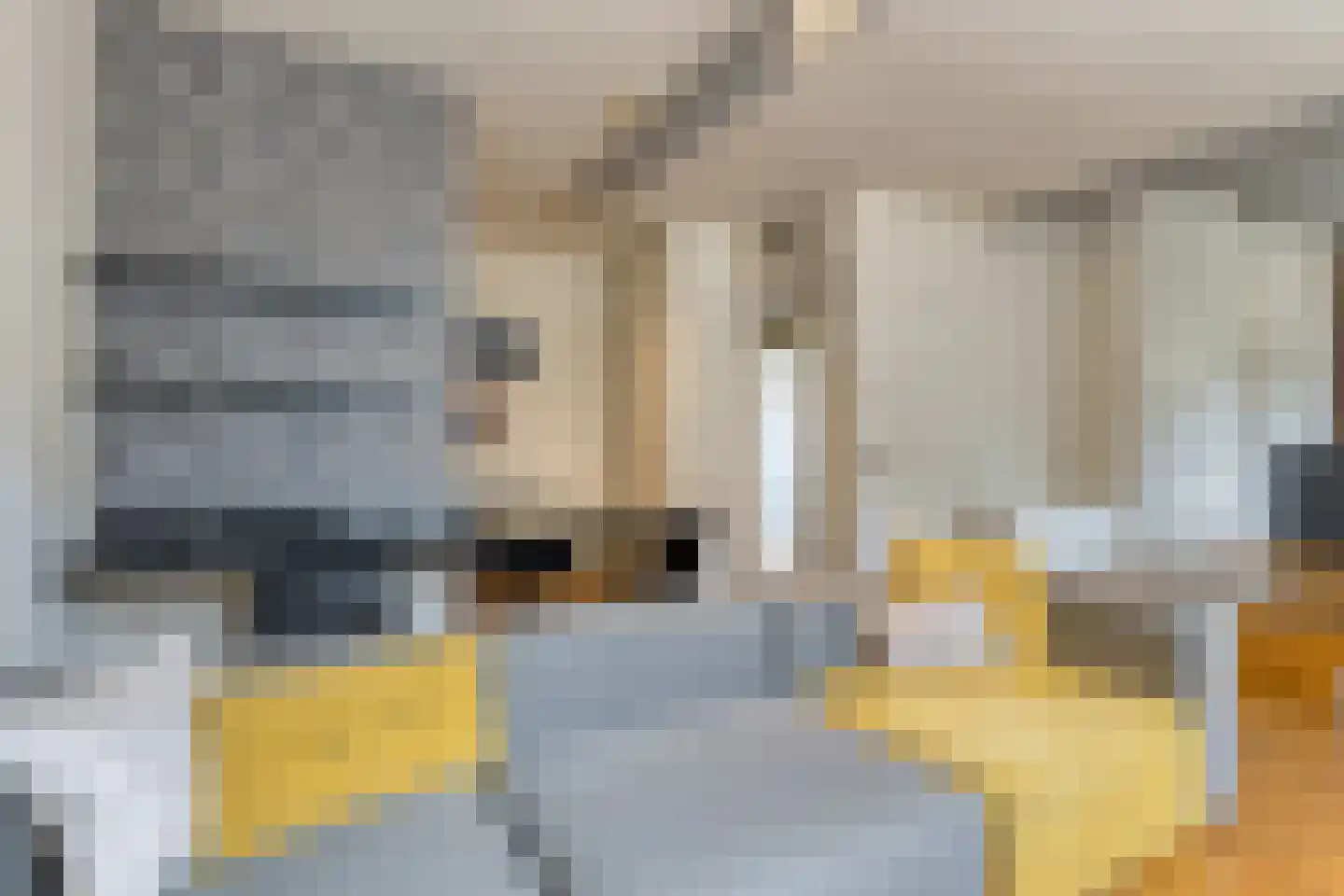 Ruiterij 2 D 02 Maastricht thumbnail 6