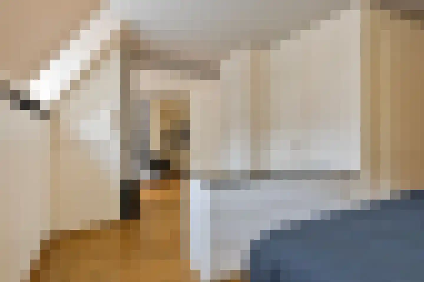 Ruiterij 2 D 02 Maastricht thumbnail 9