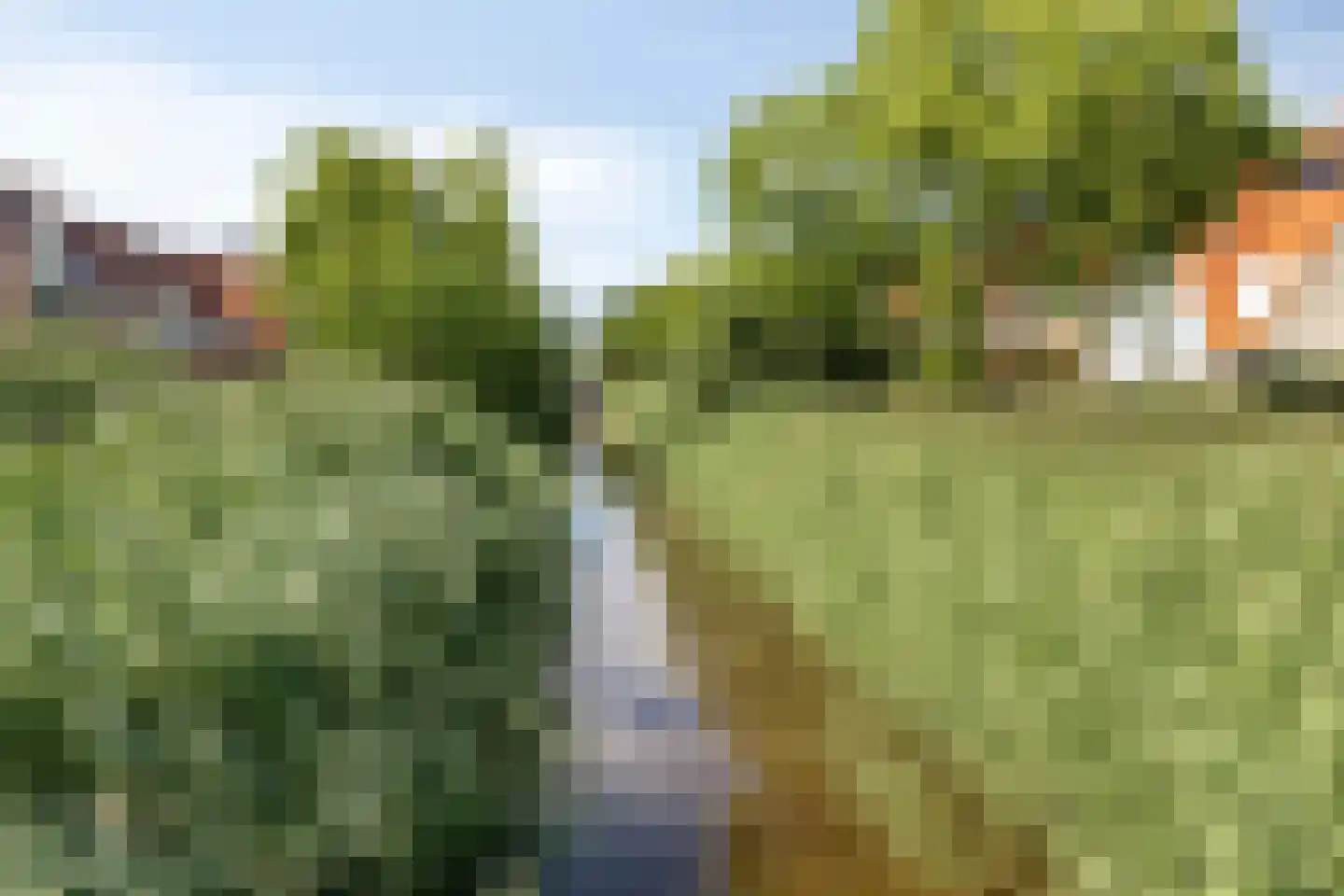Ruiterijweg 6 Veenendaal thumbnail 45