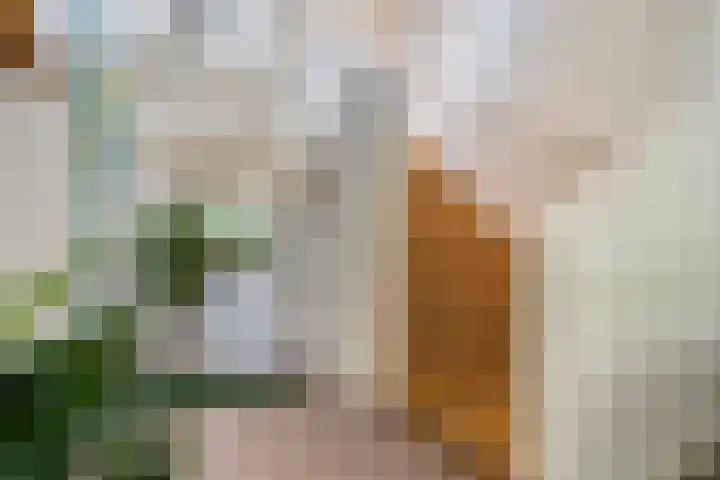 Ruiterlaan 1 D Zwolle thumbnail 10