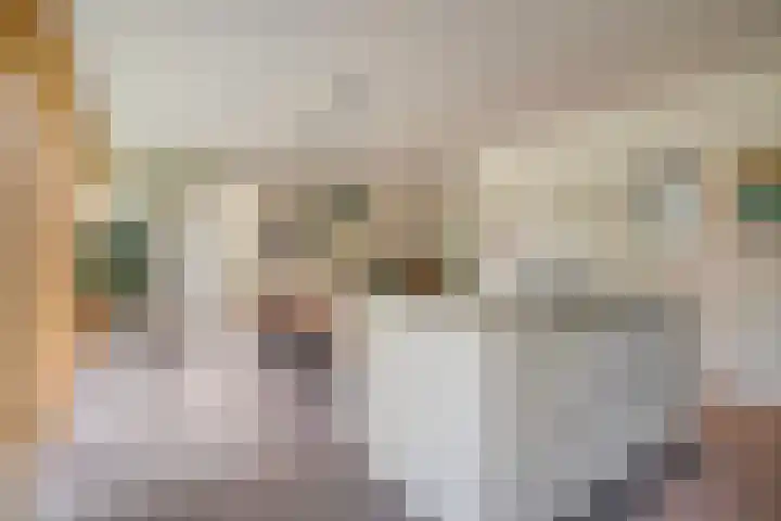 Ruiterlaan 1 D Zwolle thumbnail 15