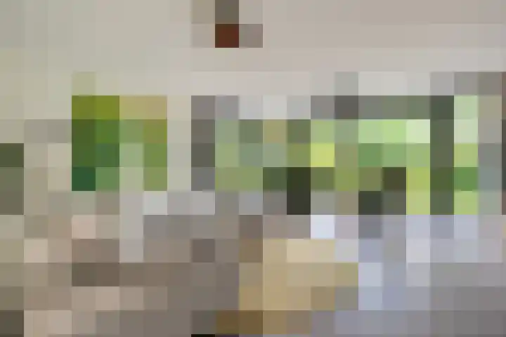 Ruiterlaan 1 D Zwolle thumbnail 17