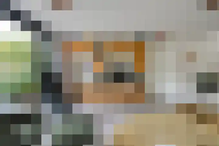 Ruiterlaan 1 D Zwolle thumbnail 18