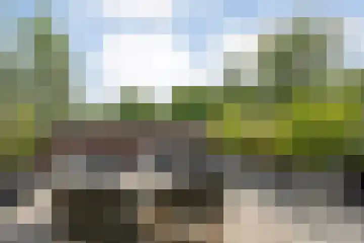 Ruiterlaan 1 D Zwolle thumbnail 29