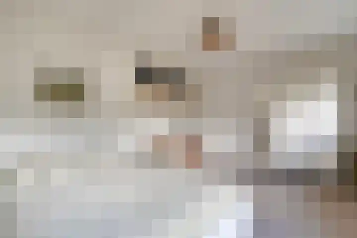 Ruiterlaan 1 D Zwolle thumbnail 34