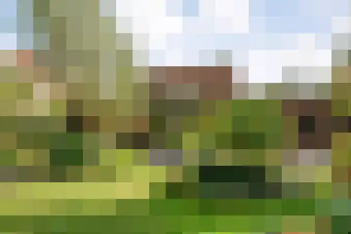 Ruiterlaan 1 D Zwolle thumbnail 37