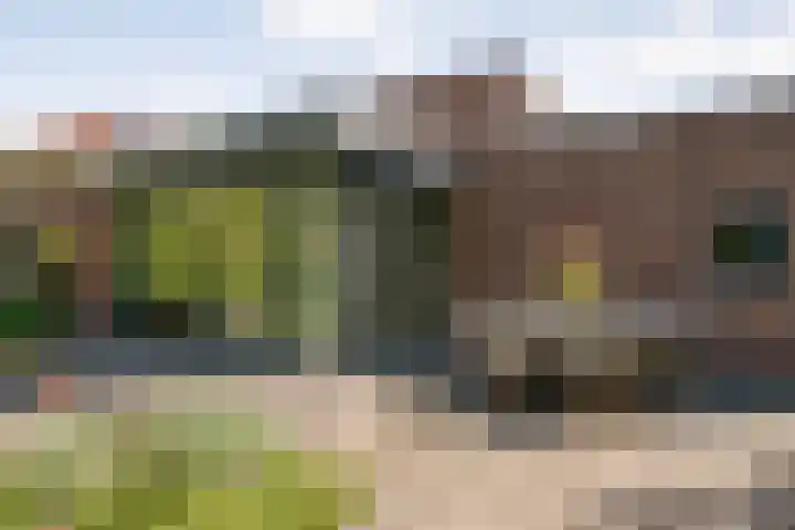 Ruiterlaan 1 D Zwolle thumbnail 38