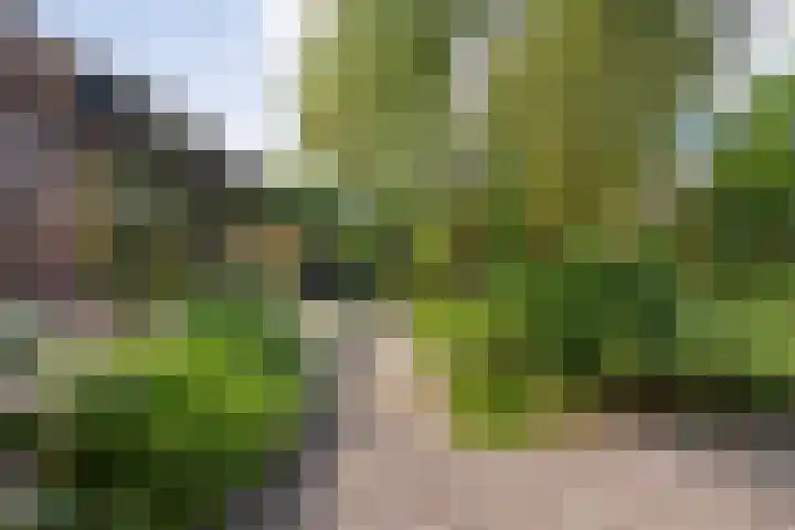 Ruiterlaan 1 D Zwolle thumbnail 39