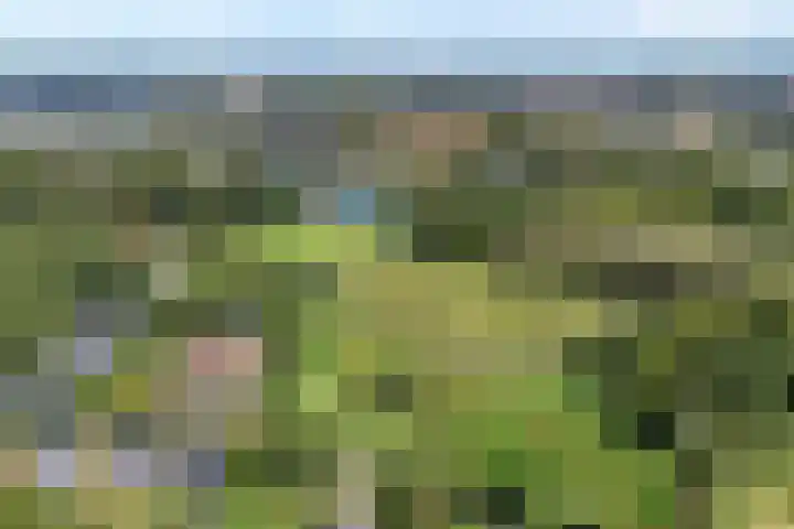 Ruiterlaan 1 D Zwolle thumbnail 4