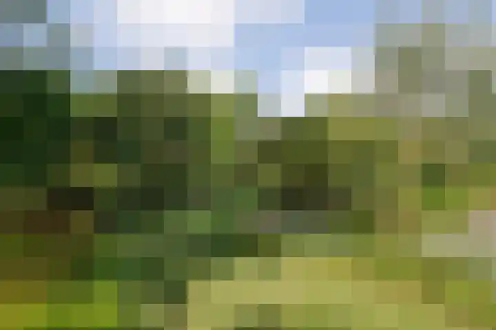 Ruiterlaan 1 D Zwolle thumbnail 40
