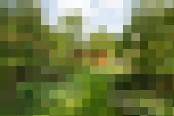 Ruiterlaan 1 D Zwolle thumbnail 41