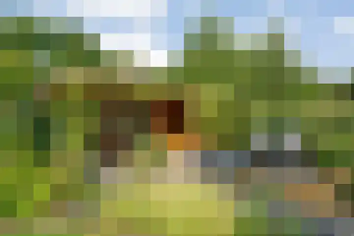 Ruiterlaan 1 D Zwolle thumbnail 42