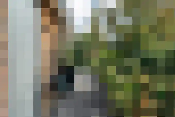 Ruiterlaan 1 D Zwolle thumbnail 44