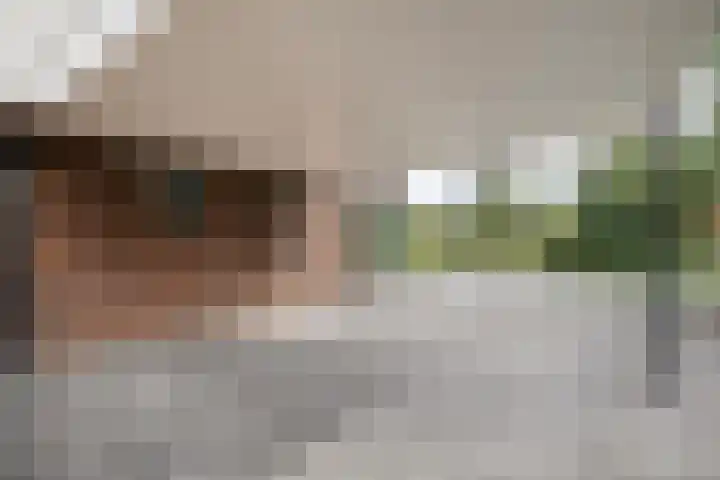 Ruiterlaan 1 D Zwolle thumbnail 45