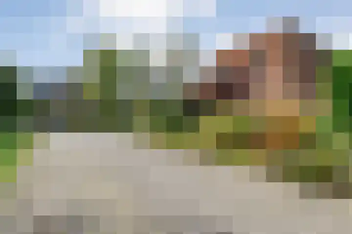 Ruiterlaan 1 D Zwolle thumbnail 46