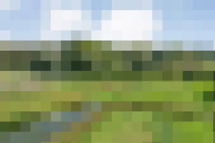 Ruiterlaan 1 D Zwolle thumbnail 48