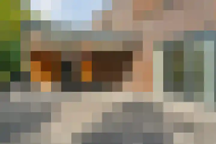 Ruiterlaan 1 D Zwolle thumbnail 5