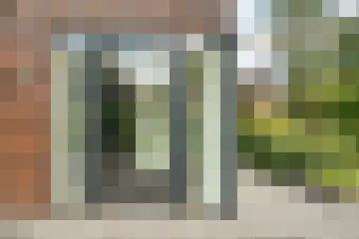 Ruiterlaan 1 D Zwolle thumbnail 6