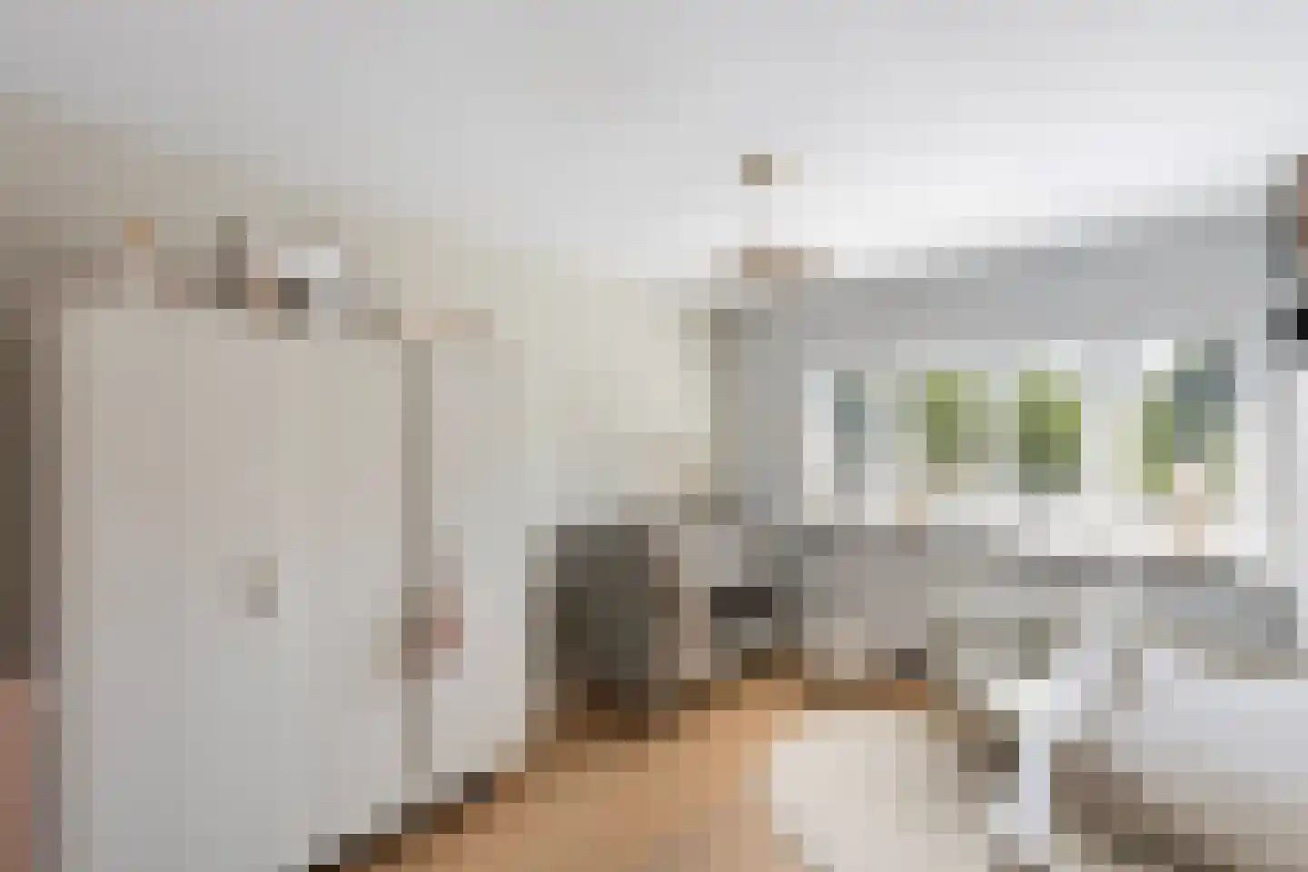 Ruiterlaan 11 Zwolle thumbnail 22