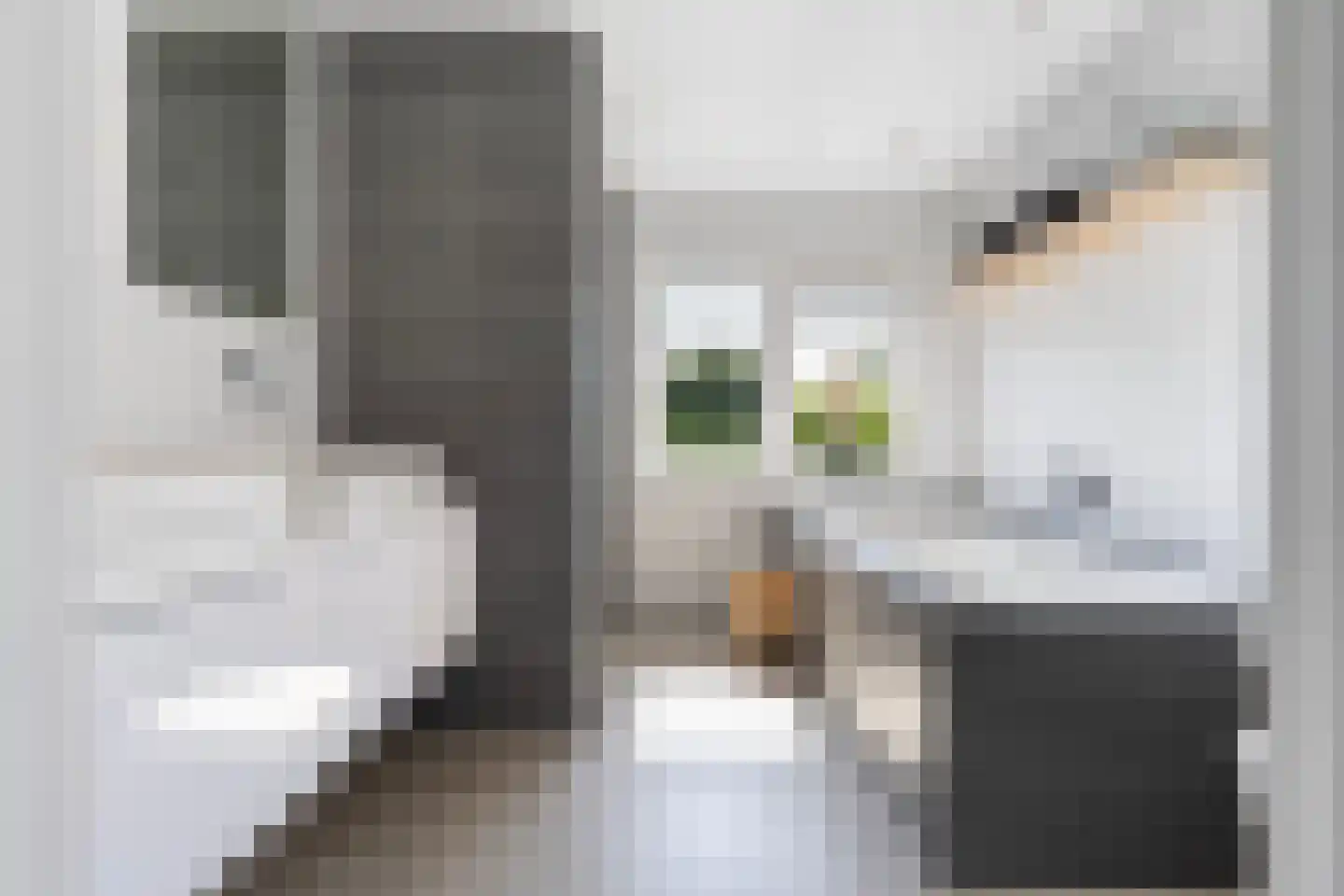 Ruiterlaan 11 Zwolle thumbnail 24