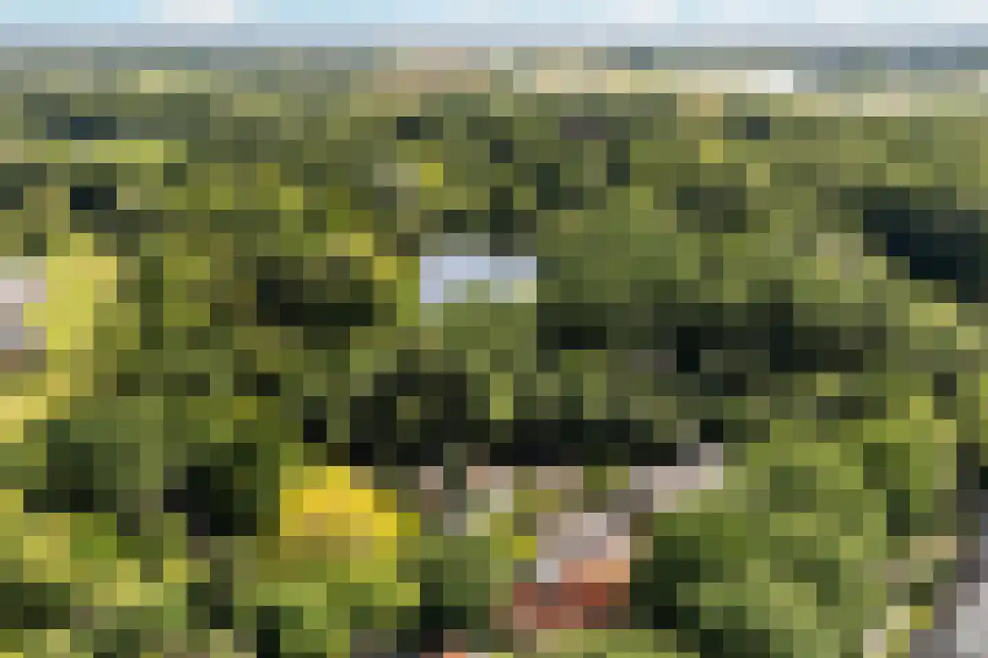 Ruiterlaan 11 Zwolle thumbnail 39