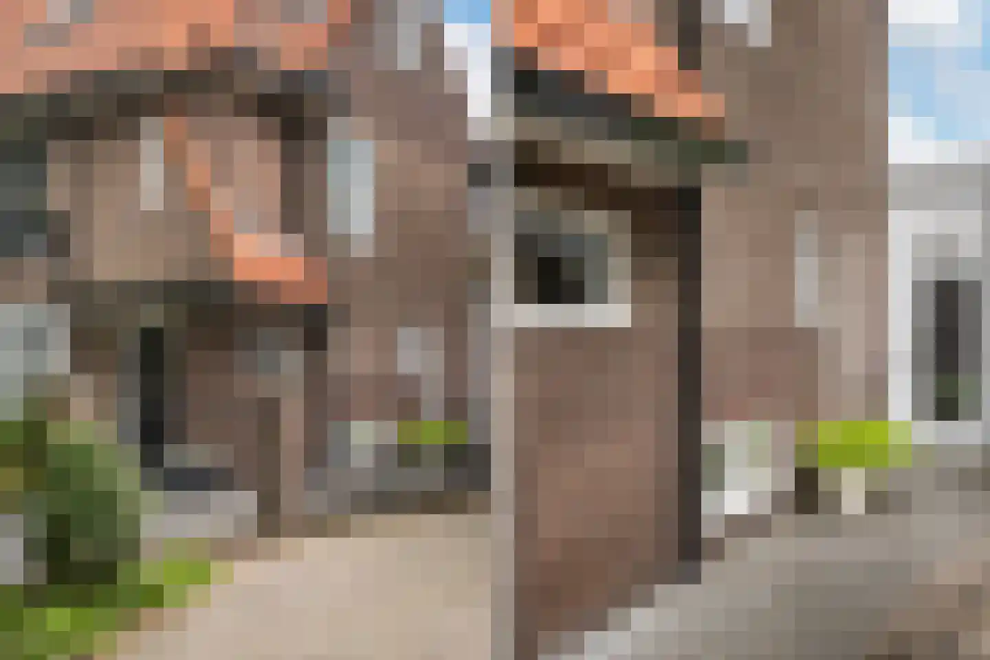 Ruiterlaan 11 Zwolle thumbnail 8