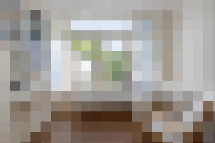 Ruiterlaan 31 Zwolle thumbnail 16