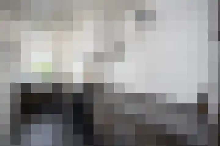 Ruiterlaan 31 Zwolle thumbnail 18