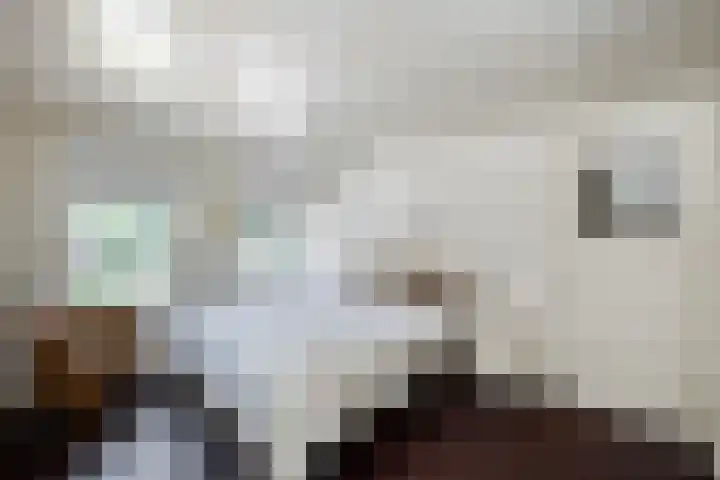 Ruiterlaan 31 Zwolle thumbnail 25