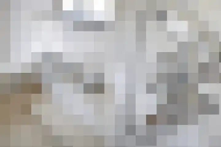 Ruiterlaan 31 Zwolle thumbnail 30