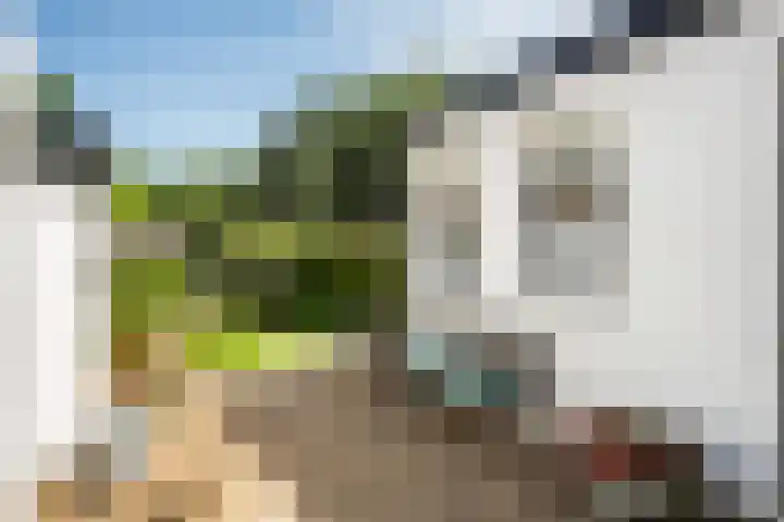 Ruiterlaan 31 Zwolle thumbnail 34