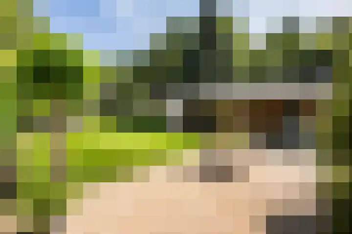 Ruiterlaan 31 Zwolle thumbnail 35